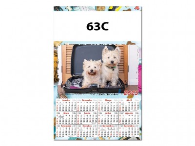 63C