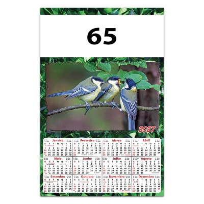 65C