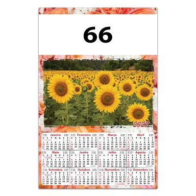 66C