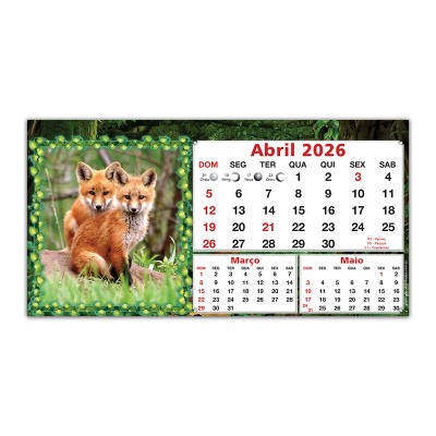 Animais-05