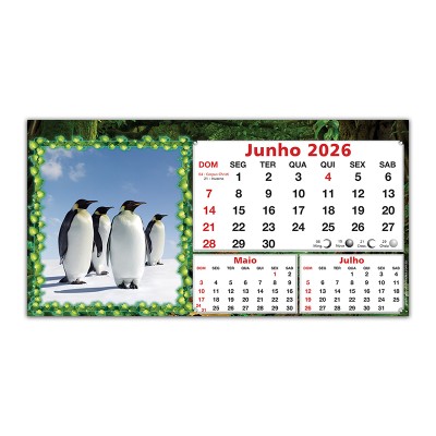 Animais-07