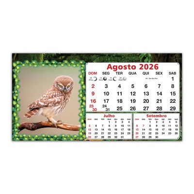 Animais-09