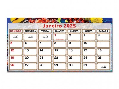 Peixes_02