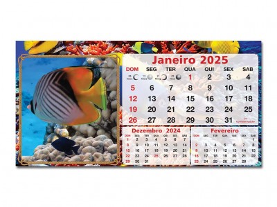 Peixes_03