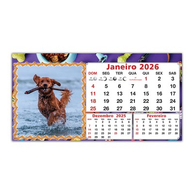 Pets_01