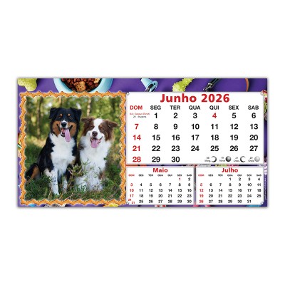 Pets_07