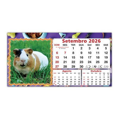 Pets_10