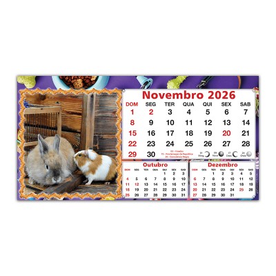 Pets_12