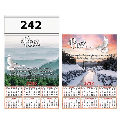 242C