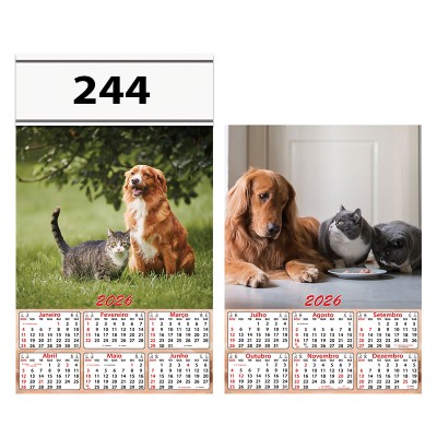 244C