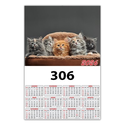 306C