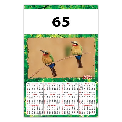 65C