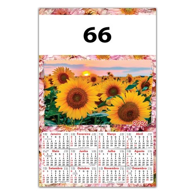 66C